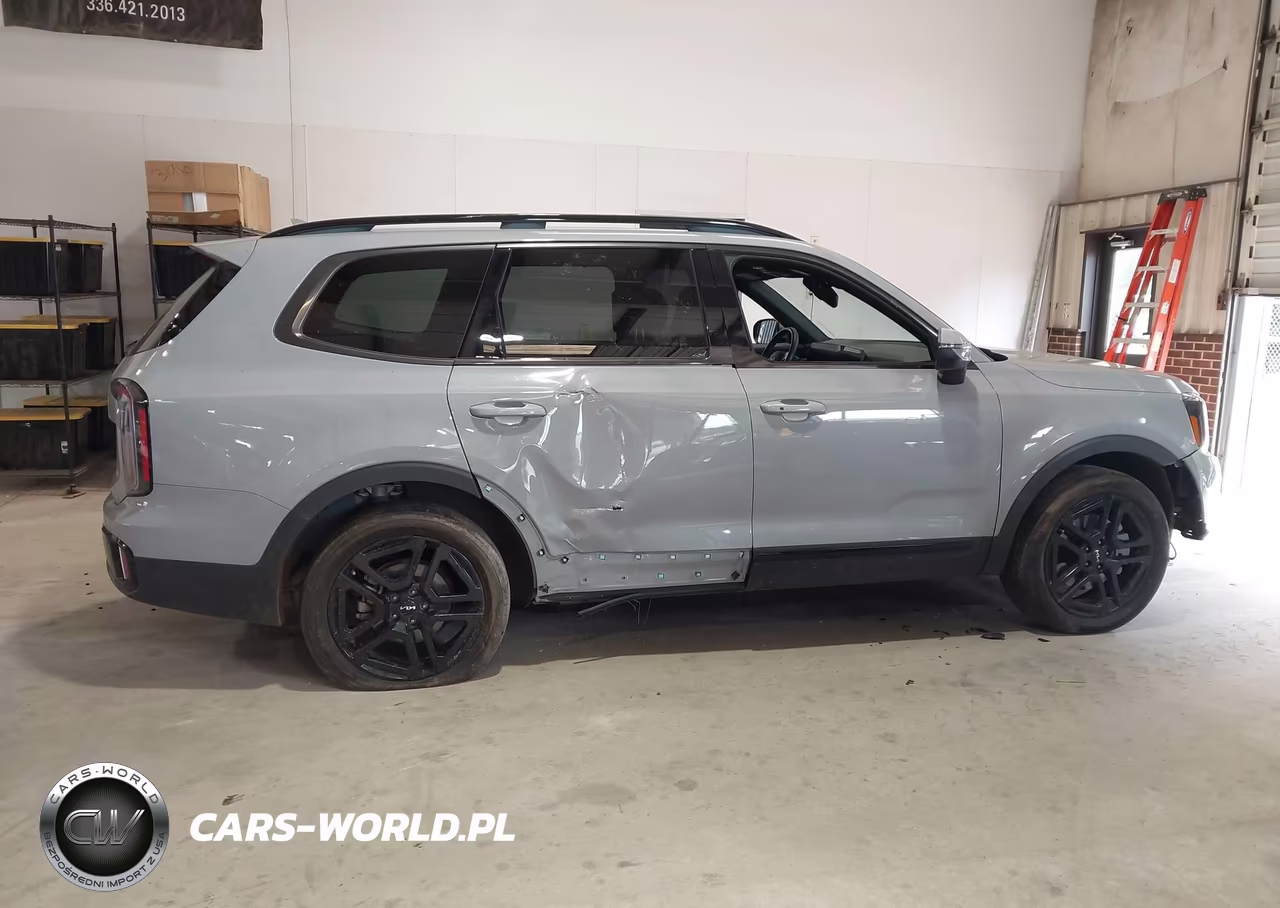 2024 Kia Telluride Ex X-Line VIN:5XYP3DGC8RG553869 - 13