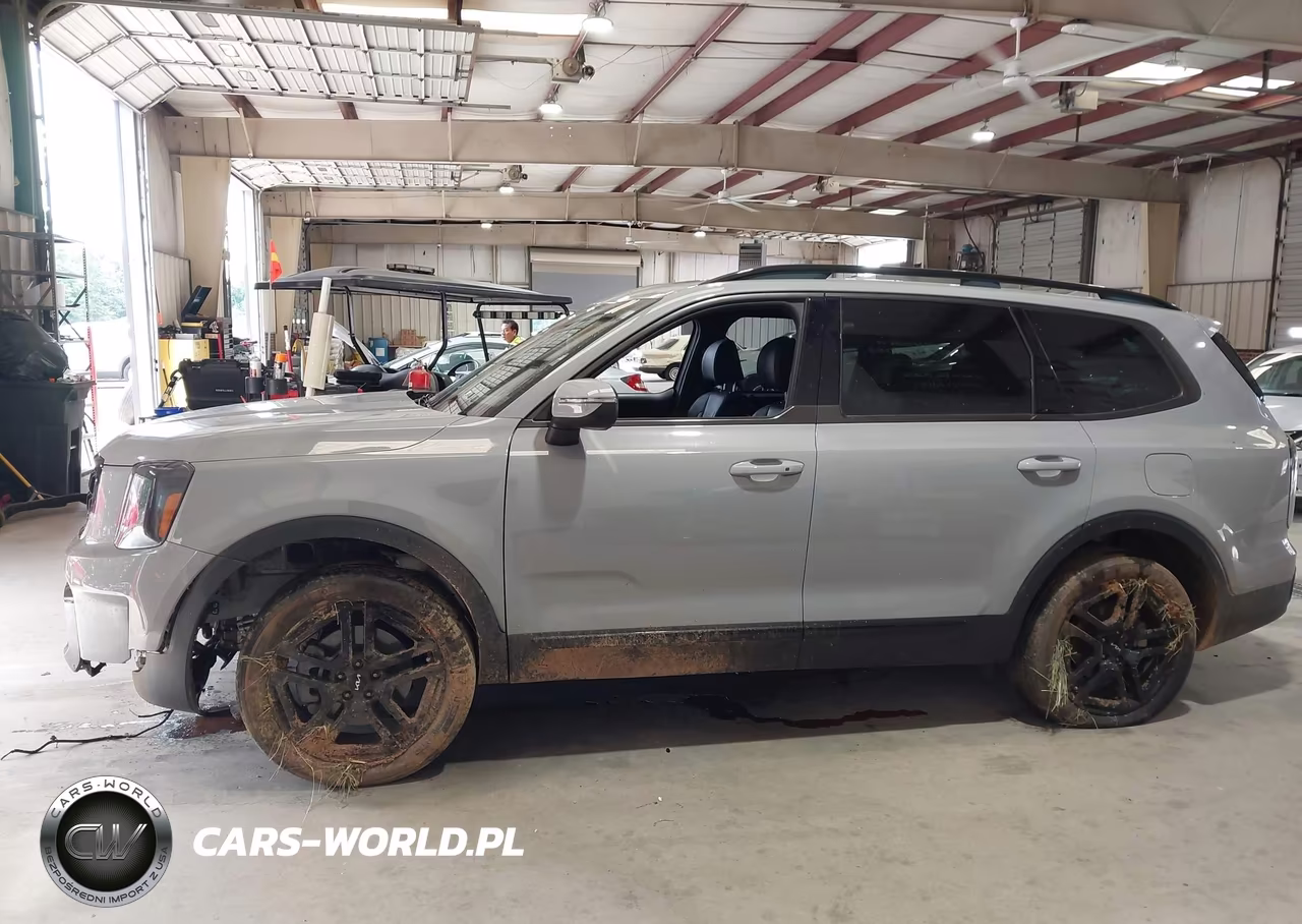 2024 Kia Telluride Ex X-Line VIN:5XYP3DGC8RG553869 - 14