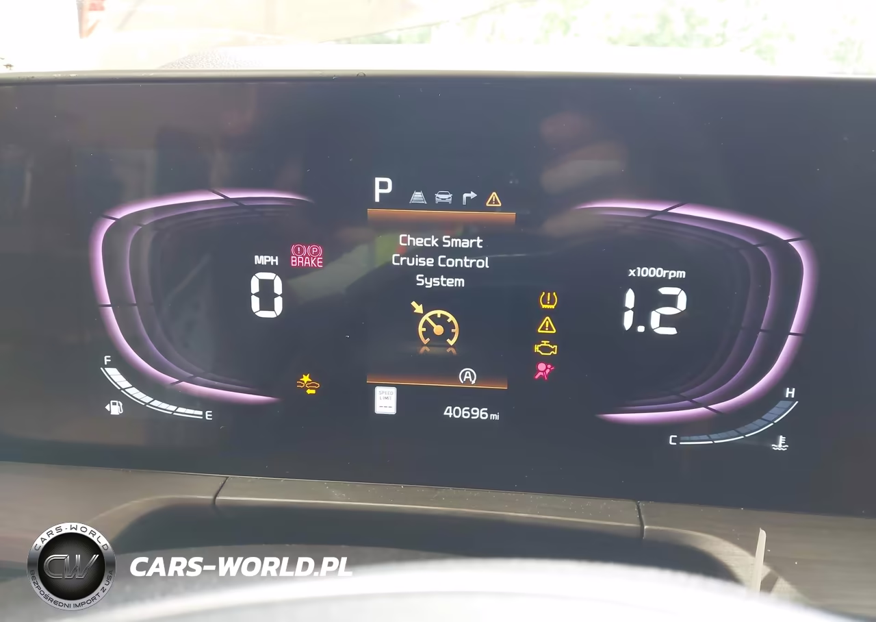 2024 Kia Telluride Ex X-Line VIN:5XYP3DGC8RG553869 - 15