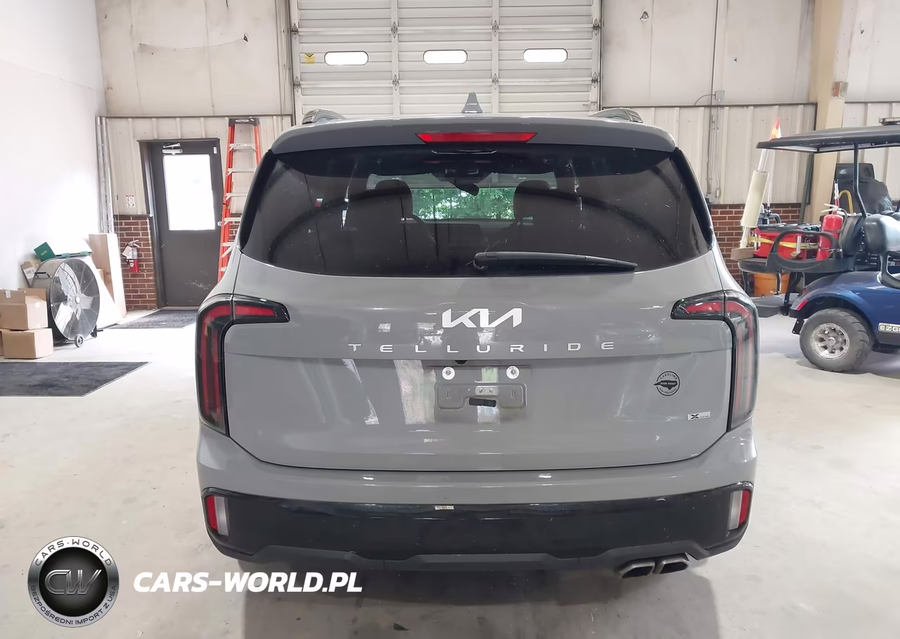 2024 Kia Telluride Ex X-Line VIN:5XYP3DGC8RG553869 - 16