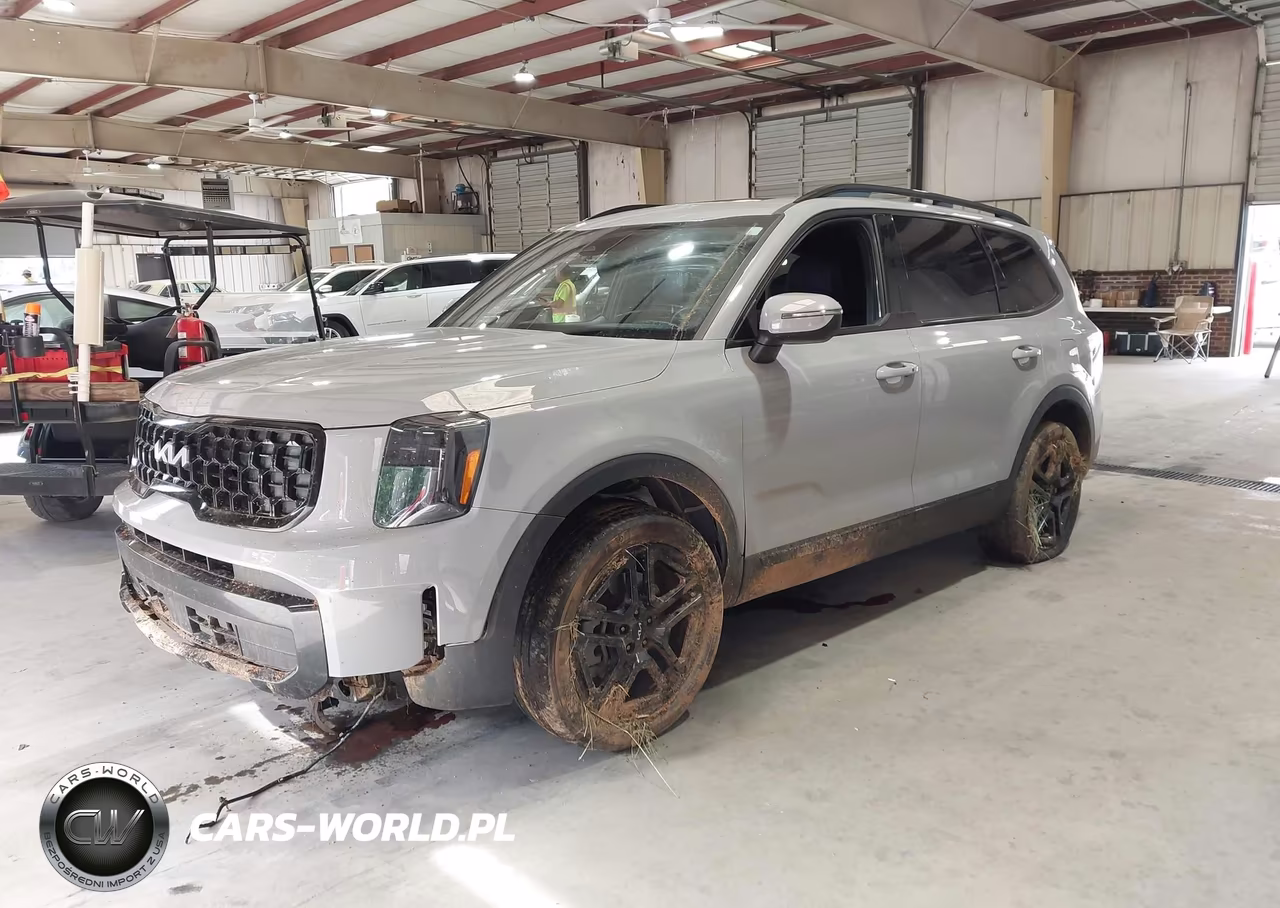 2024 Kia Telluride Ex X-Line VIN:5XYP3DGC8RG553869 - 2