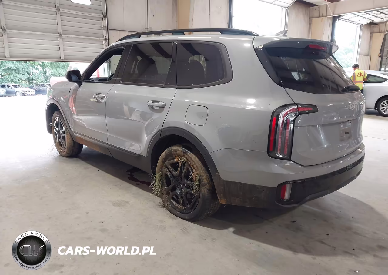 2024 Kia Telluride Ex X-Line VIN:5XYP3DGC8RG553869 - 3