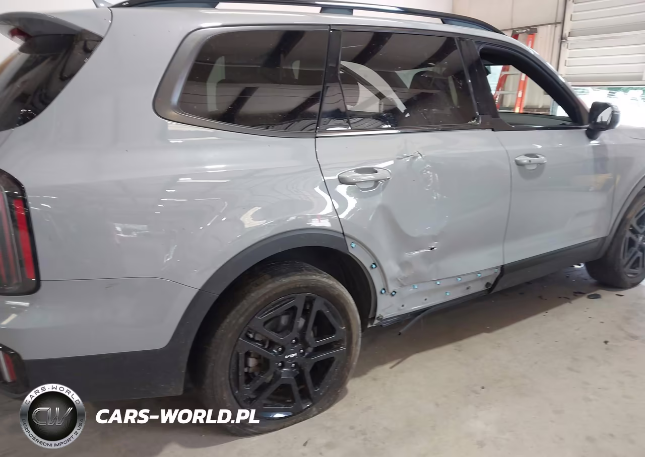 2024 Kia Telluride Ex X-Line VIN:5XYP3DGC8RG553869 - 6