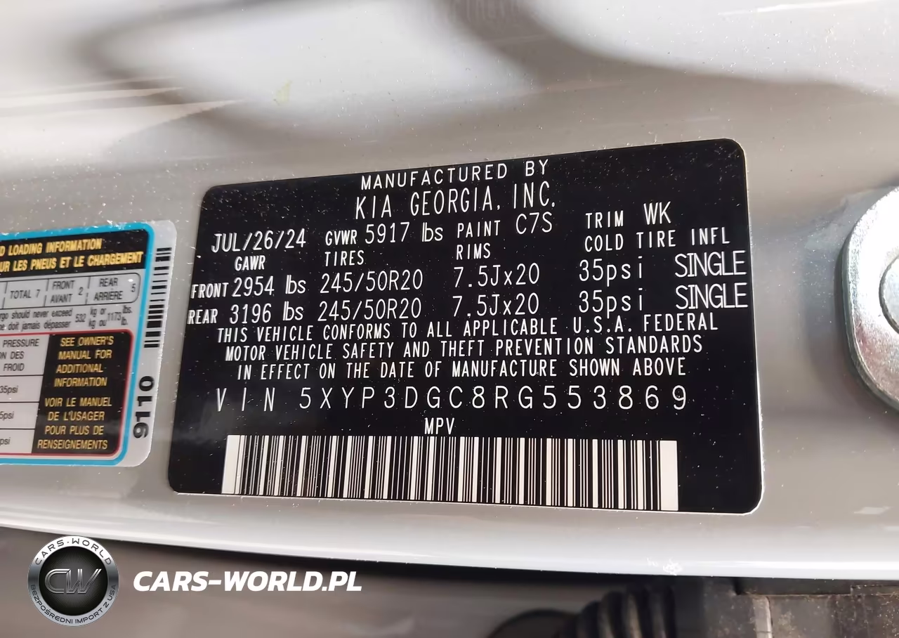 2024 Kia Telluride Ex X-Line VIN:5XYP3DGC8RG553869 - 9