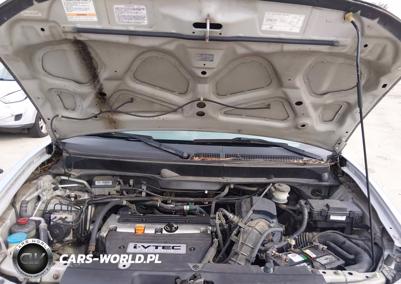 2006 Honda Element Ex VIN:5J6YH18736L002586 - 10