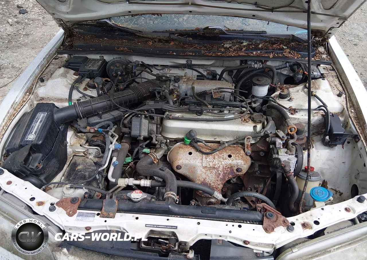 1995 Honda Accord Lx-Ex VIN:1HGCD5631SA015136 - 10