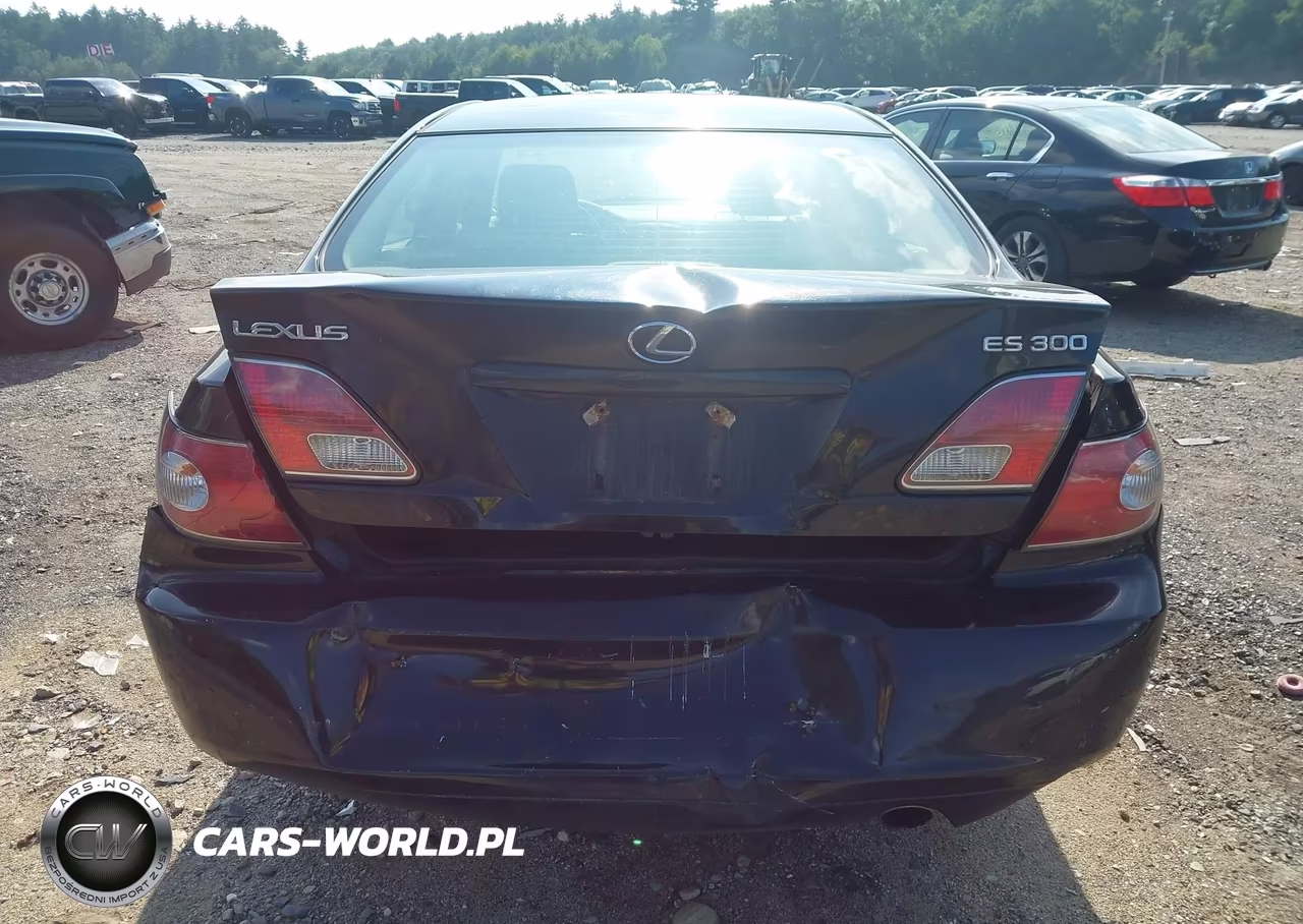 2003 Lexus Es 300 VIN:JTHBF30G536016507 - 17