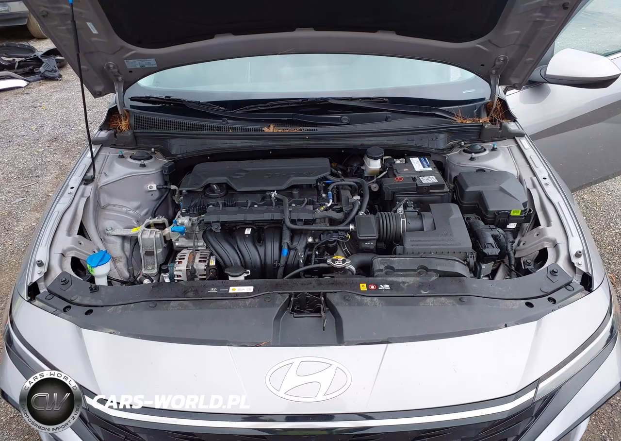 2025 Hyundai Elantra Sel VIN:KMHLS4DG8SU974242 - 10