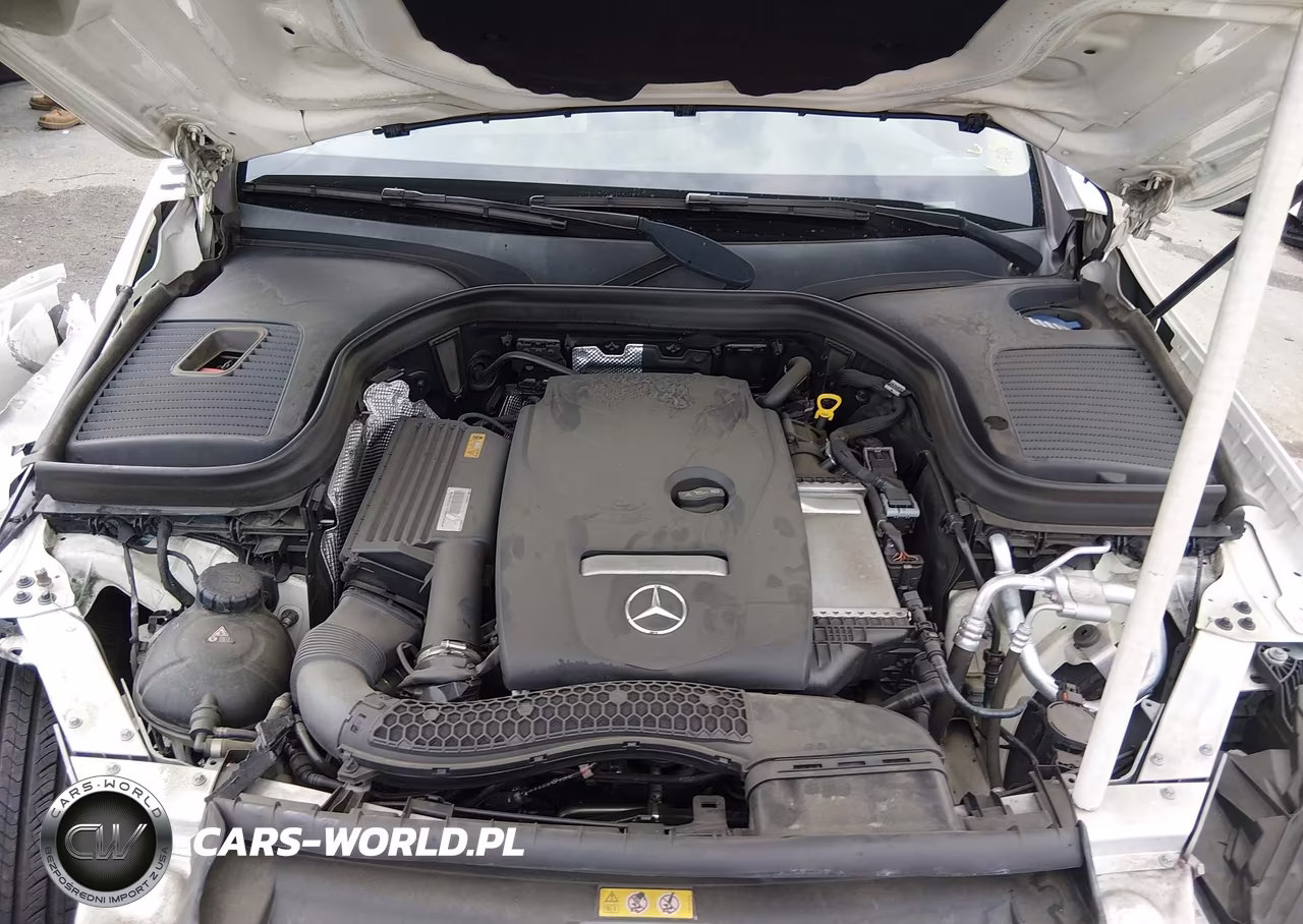 2019 Mercedes-Benz Glc 300 VIN:WDC0G4JBXK1000808 - 10