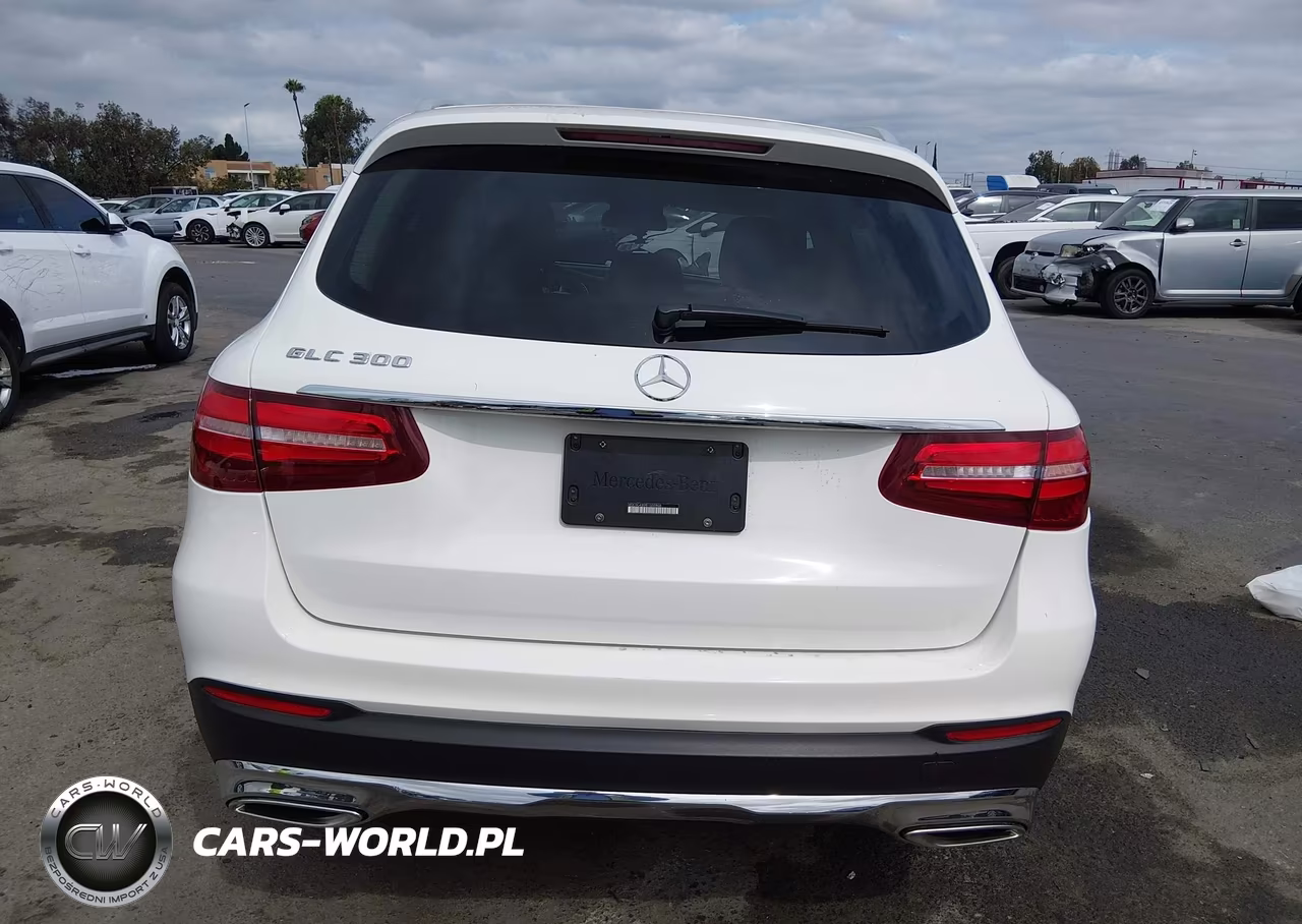 2019 Mercedes-Benz Glc 300 VIN:WDC0G4JBXK1000808 - 16