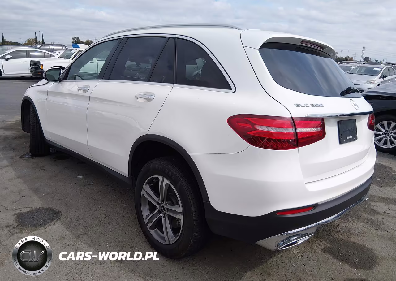 2019 Mercedes-Benz Glc 300 VIN:WDC0G4JBXK1000808 - 3