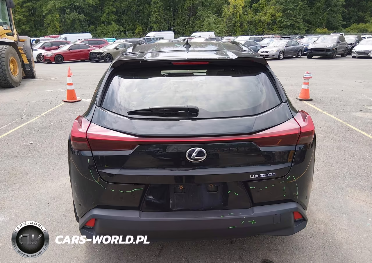2021 Lexus Ux 250H VIN:JTHP9JBH3M2045634 - 16