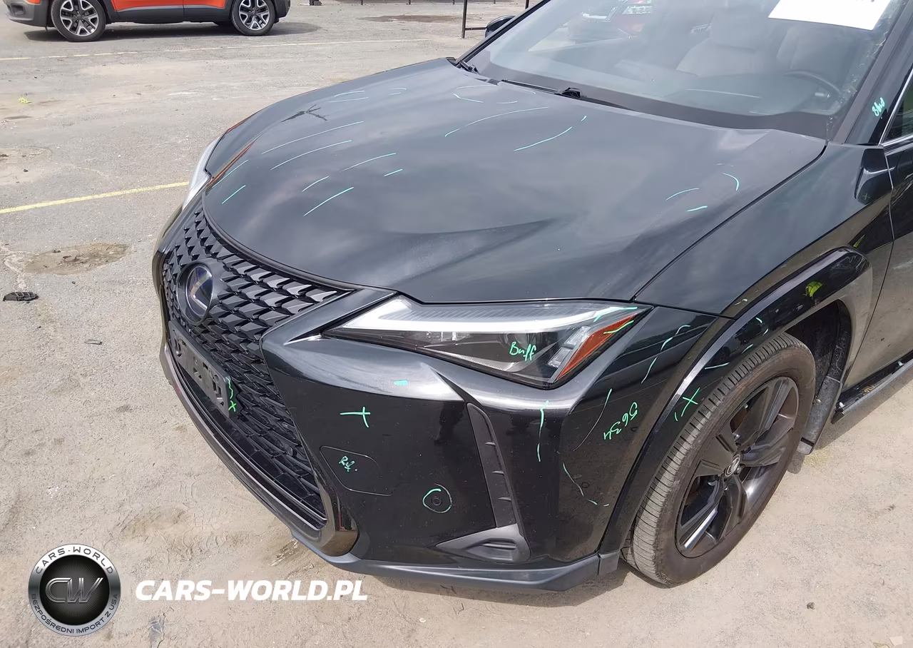 2021 Lexus Ux 250H VIN:JTHP9JBH3M2045634 - 18