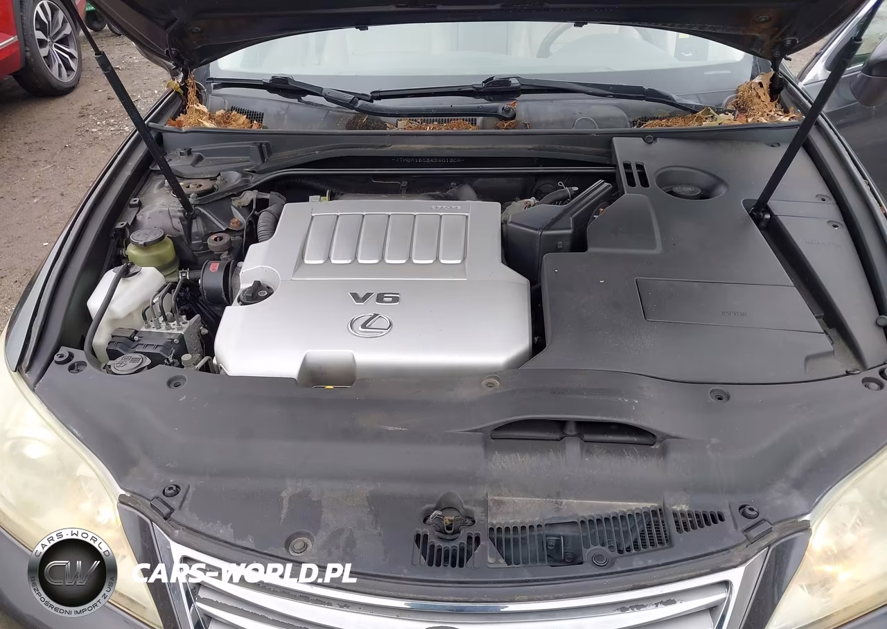 2010 Lexus Es 350 VIN:JTHBK1EG3A2401304 - 10