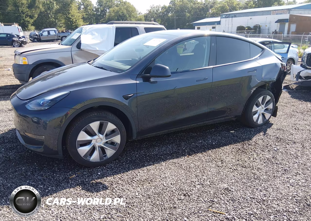 2024 Tesla Model Y Long Range Dual Motor All-Wheel Drive VIN:7SAYGDEE7RA270433 - 10