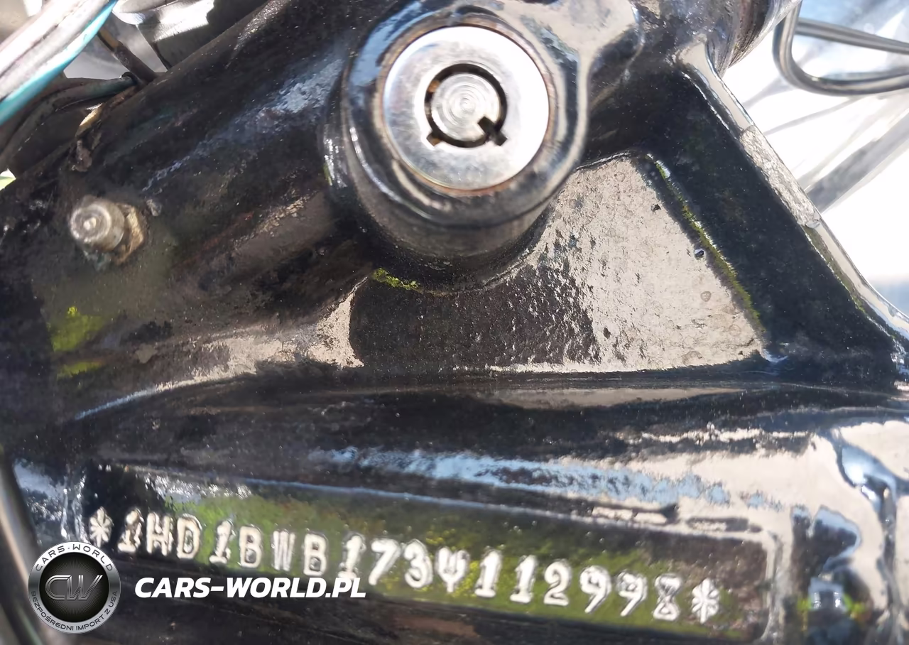 2003 Harley-Davidson Flstci VIN:1HD1BWB173Y112998 - 10