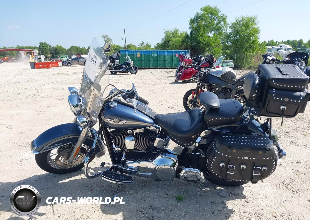2003 Harley-Davidson Flstci VIN:1HD1BWB173Y112998 - 13