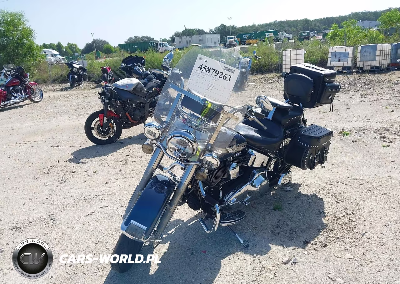 2003 Harley-Davidson Flstci VIN:1HD1BWB173Y112998 - 2