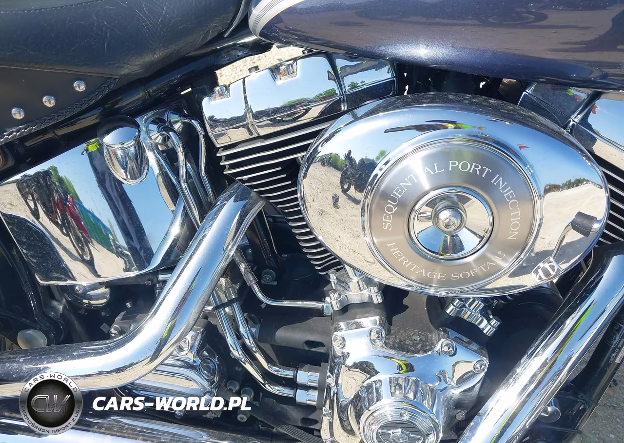 2003 Harley-Davidson Flstci VIN:1HD1BWB173Y112998 - 8