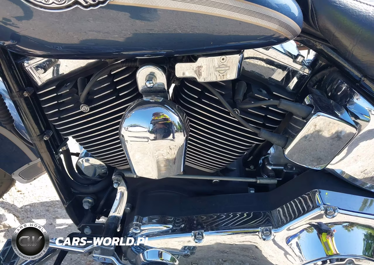 2003 Harley-Davidson Flstci VIN:1HD1BWB173Y112998 - 9