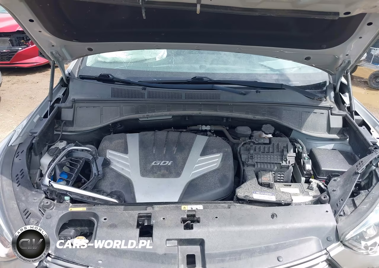 2017 Hyundai Santa Fe Limited Ultimate VIN:KM8SRDHF7HU245991 - 10