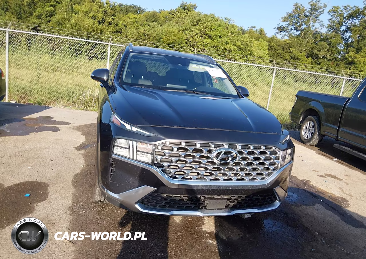 2023 Hyundai Santa Fe Sel VIN:5NMS24AJ8PH617030 - 12