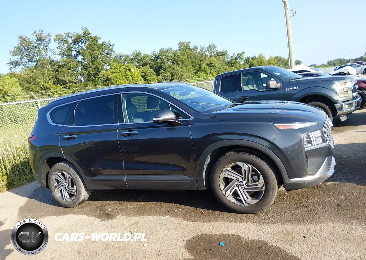 2023 Hyundai Santa Fe Sel VIN:5NMS24AJ8PH617030 - 13