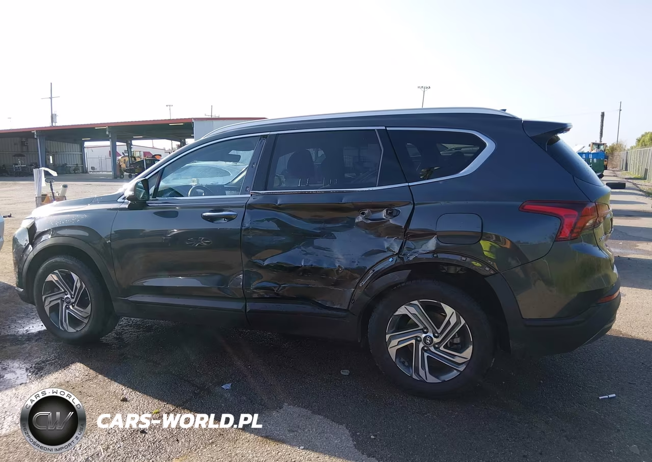2023 Hyundai Santa Fe Sel VIN:5NMS24AJ8PH617030 - 14