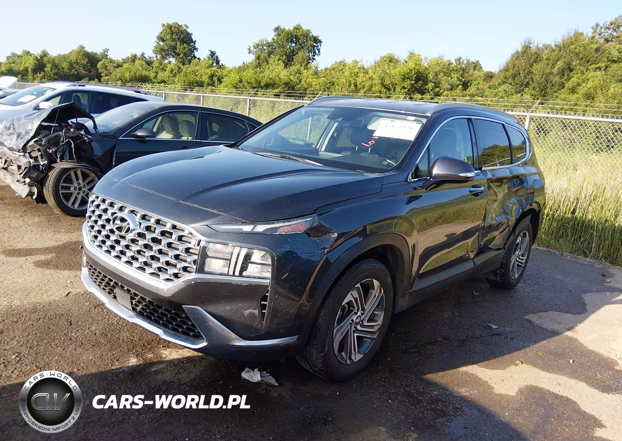 2023 Hyundai Santa Fe Sel VIN:5NMS24AJ8PH617030 - 2
