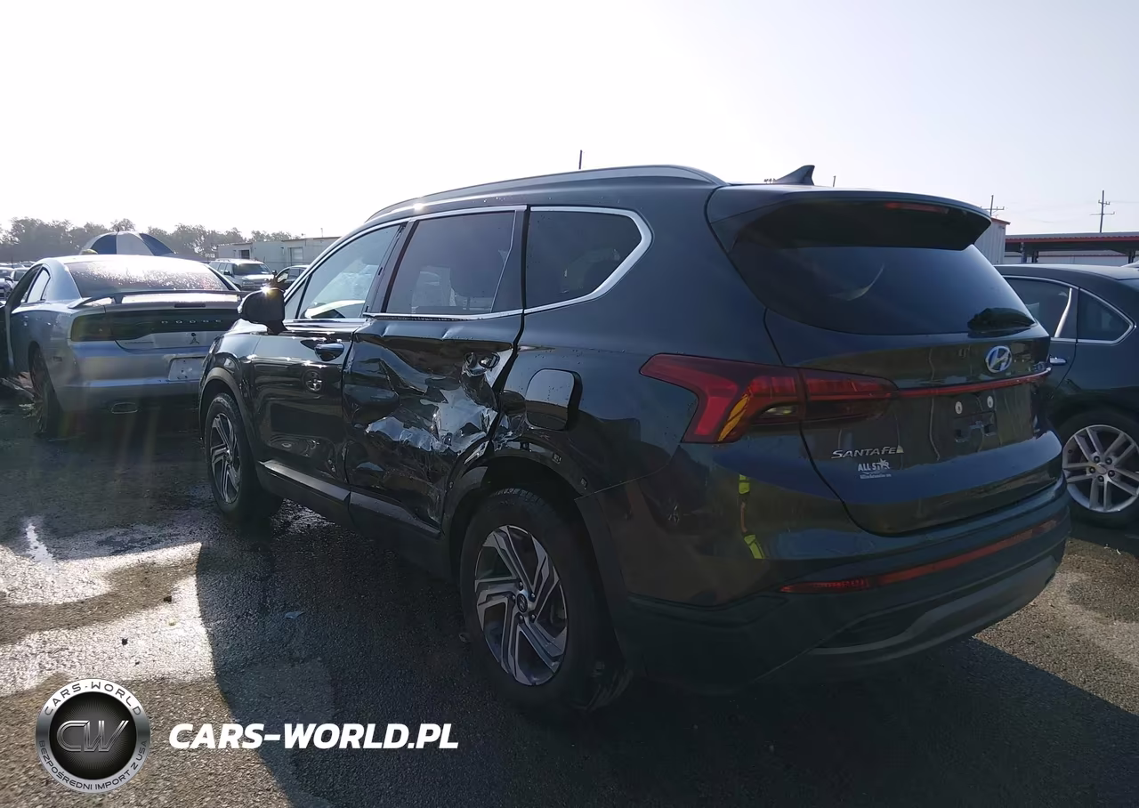 2023 Hyundai Santa Fe Sel VIN:5NMS24AJ8PH617030 - 3