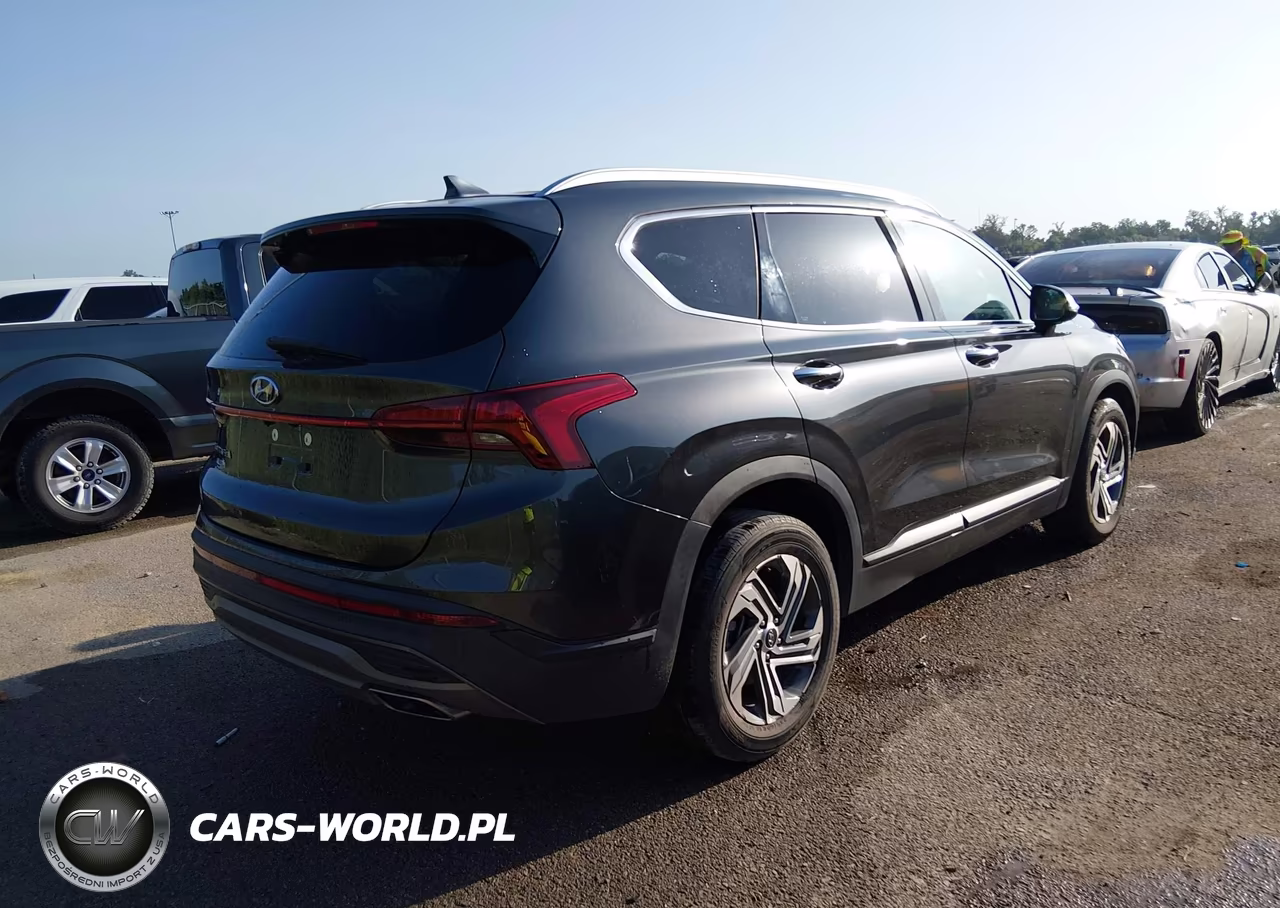 2023 Hyundai Santa Fe Sel VIN:5NMS24AJ8PH617030 - 4