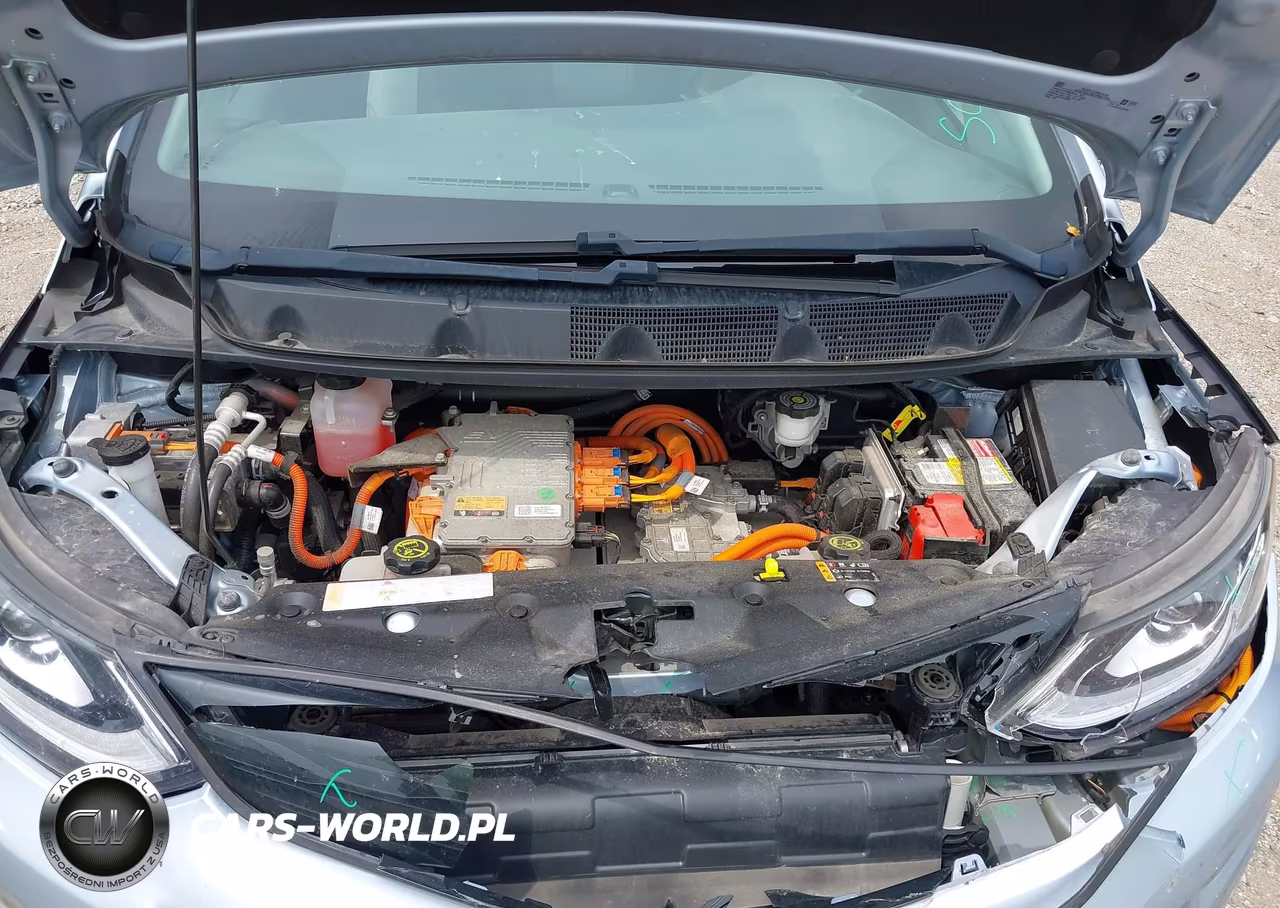 2017 Chevrolet Bolt Ev Lt VIN:1G1FW6S09H4165261 - 10