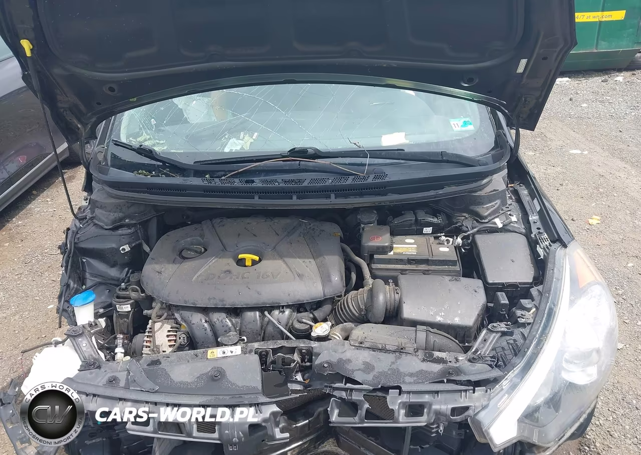 2016 Kia Forte Lx VIN:KNAFX4A60G5489509 - 10