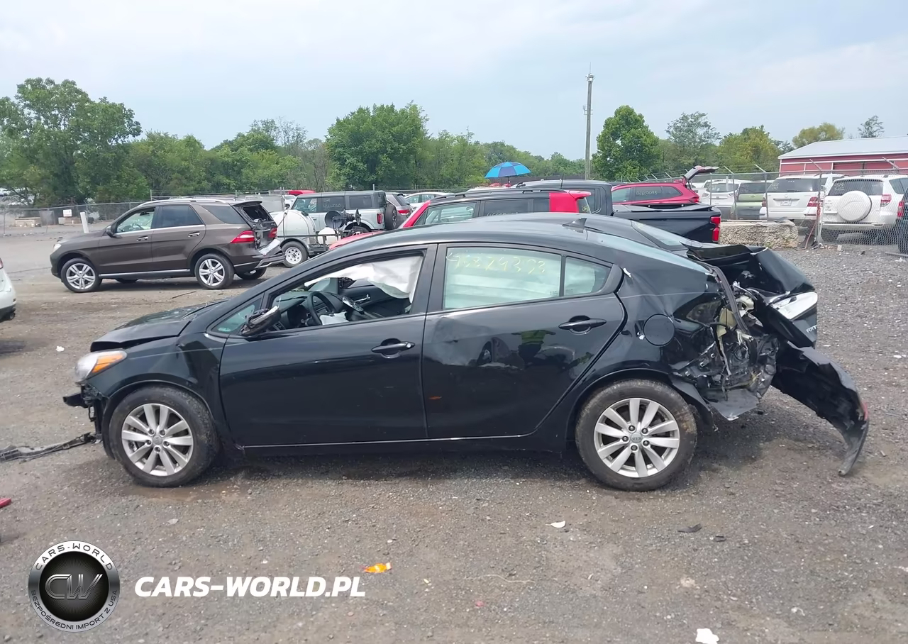 2016 Kia Forte Lx VIN:KNAFX4A60G5489509 - 14