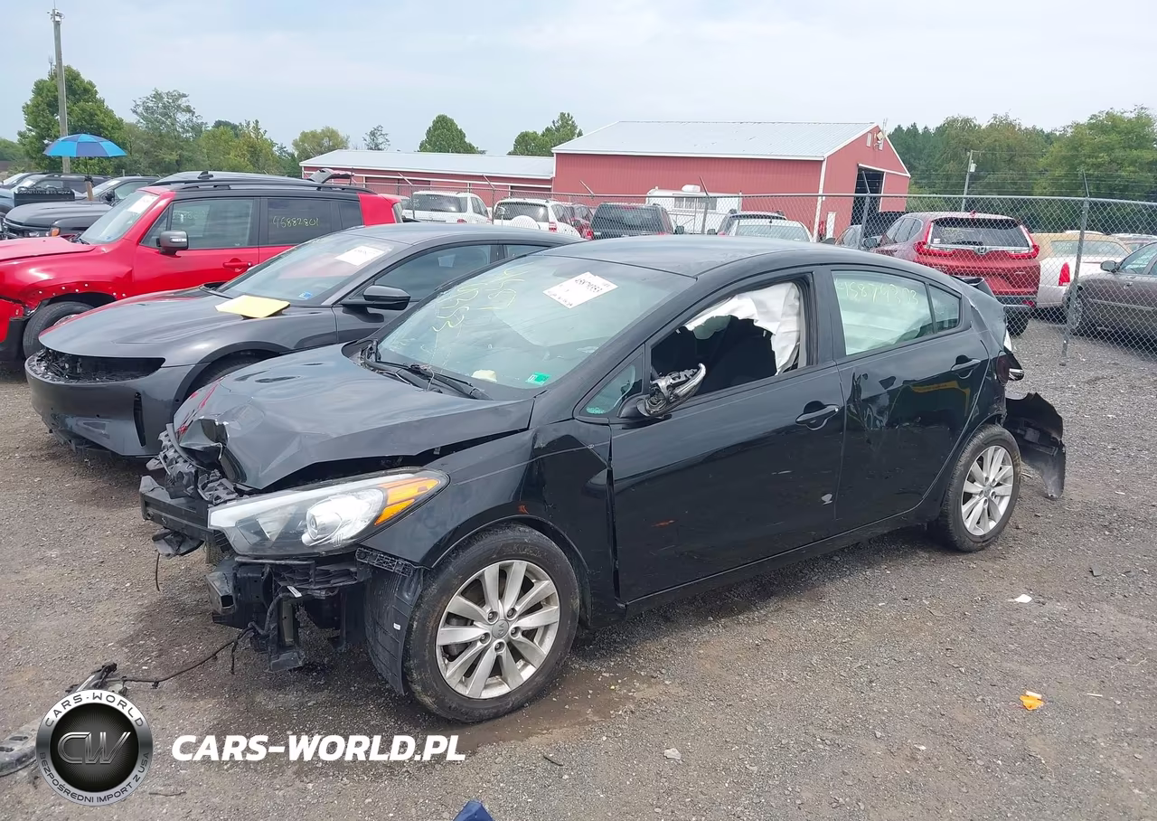 2016 Kia Forte Lx VIN:KNAFX4A60G5489509 - 2
