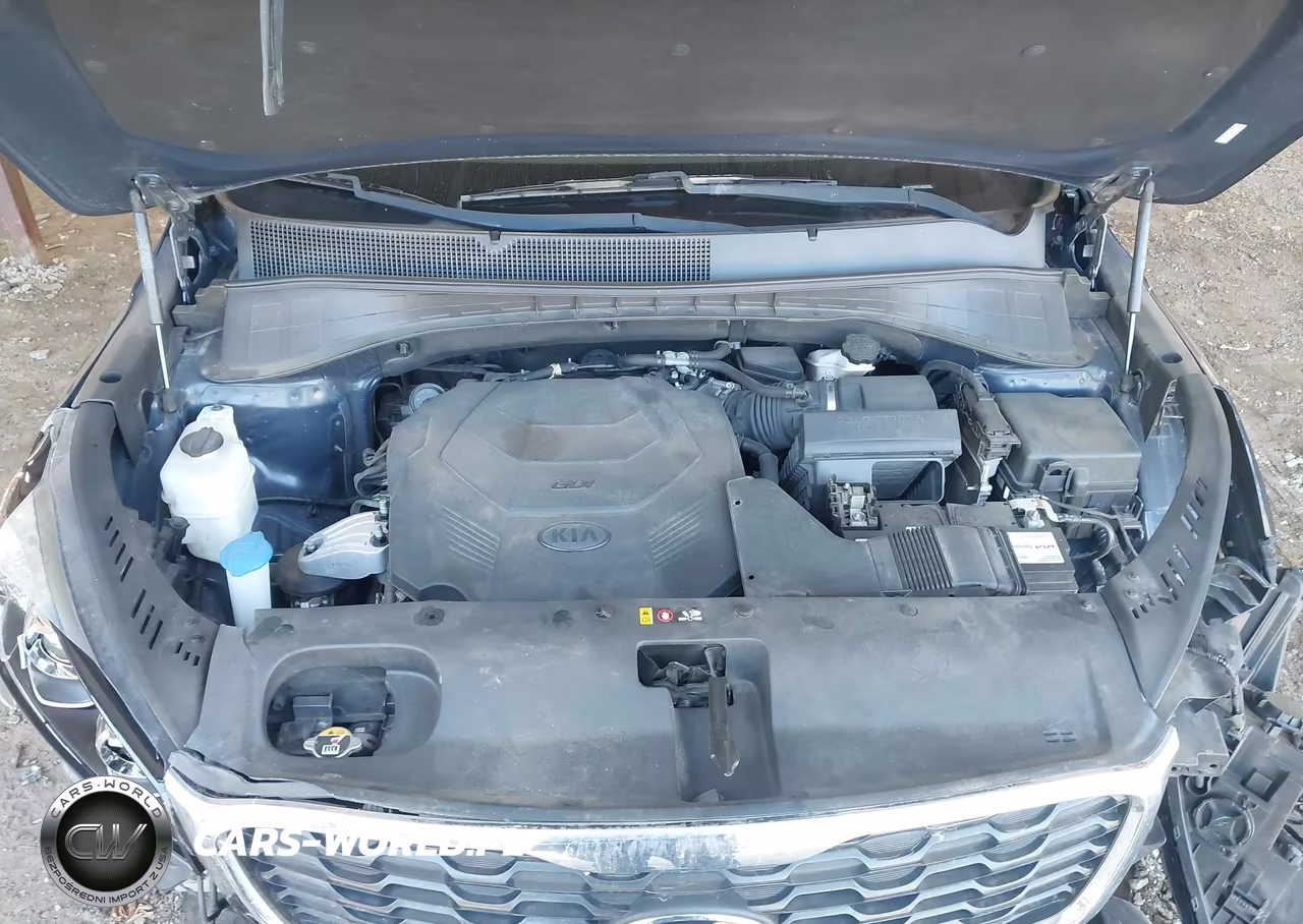 2020 Kia Sorento 3.3L Lx VIN:5XYPG4A57LG624999 - 10