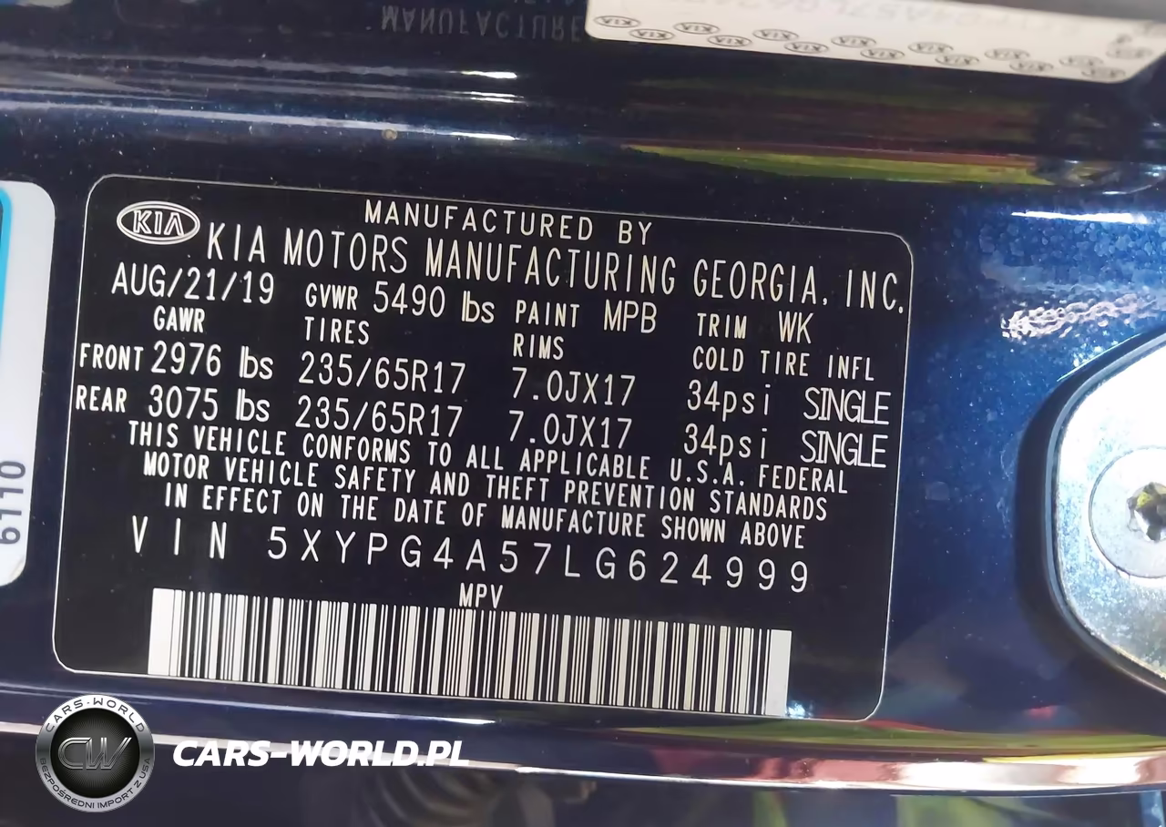 2020 Kia Sorento 3.3L Lx VIN:5XYPG4A57LG624999 - 9