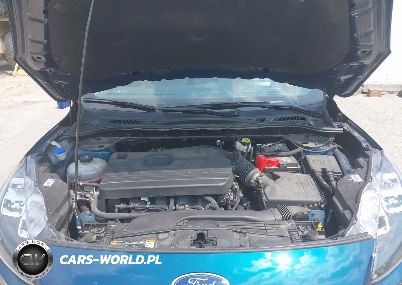 2020 Ford Escape Titanium VIN:1FMCU9J97LUA21309 - 10