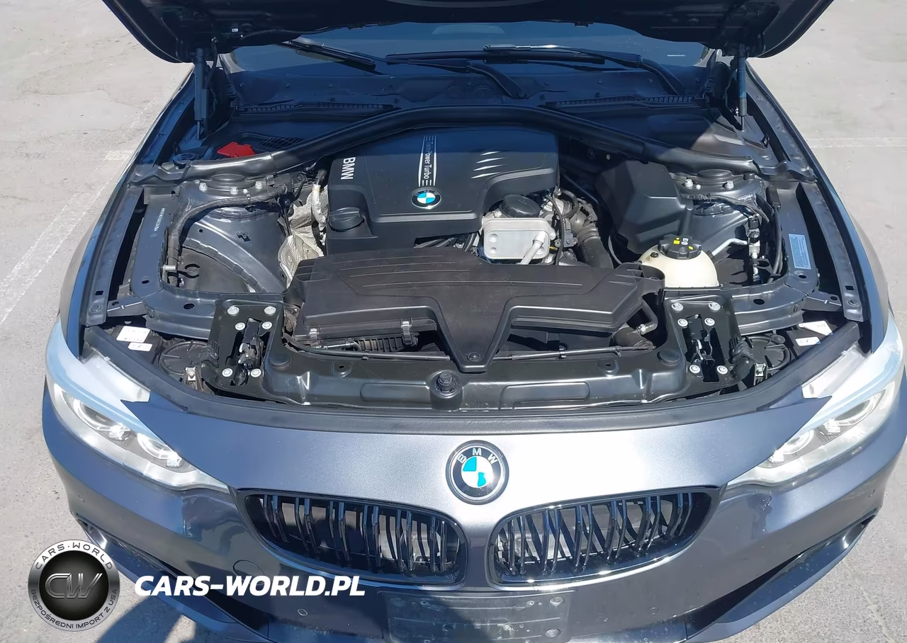 2016 BMW 428I VIN:WBA3N7C56GK226425 - 10