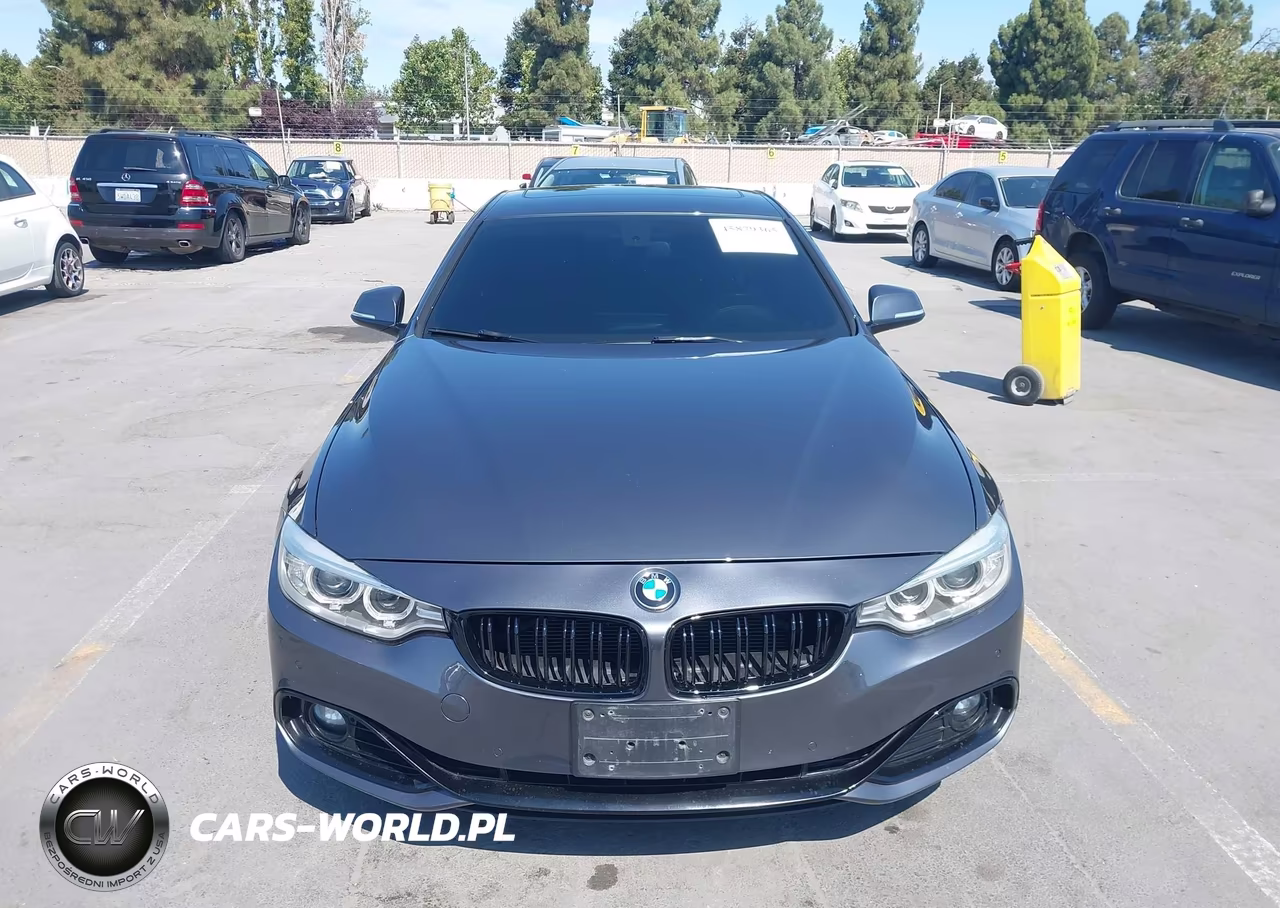 2016 BMW 428I VIN:WBA3N7C56GK226425 - 12