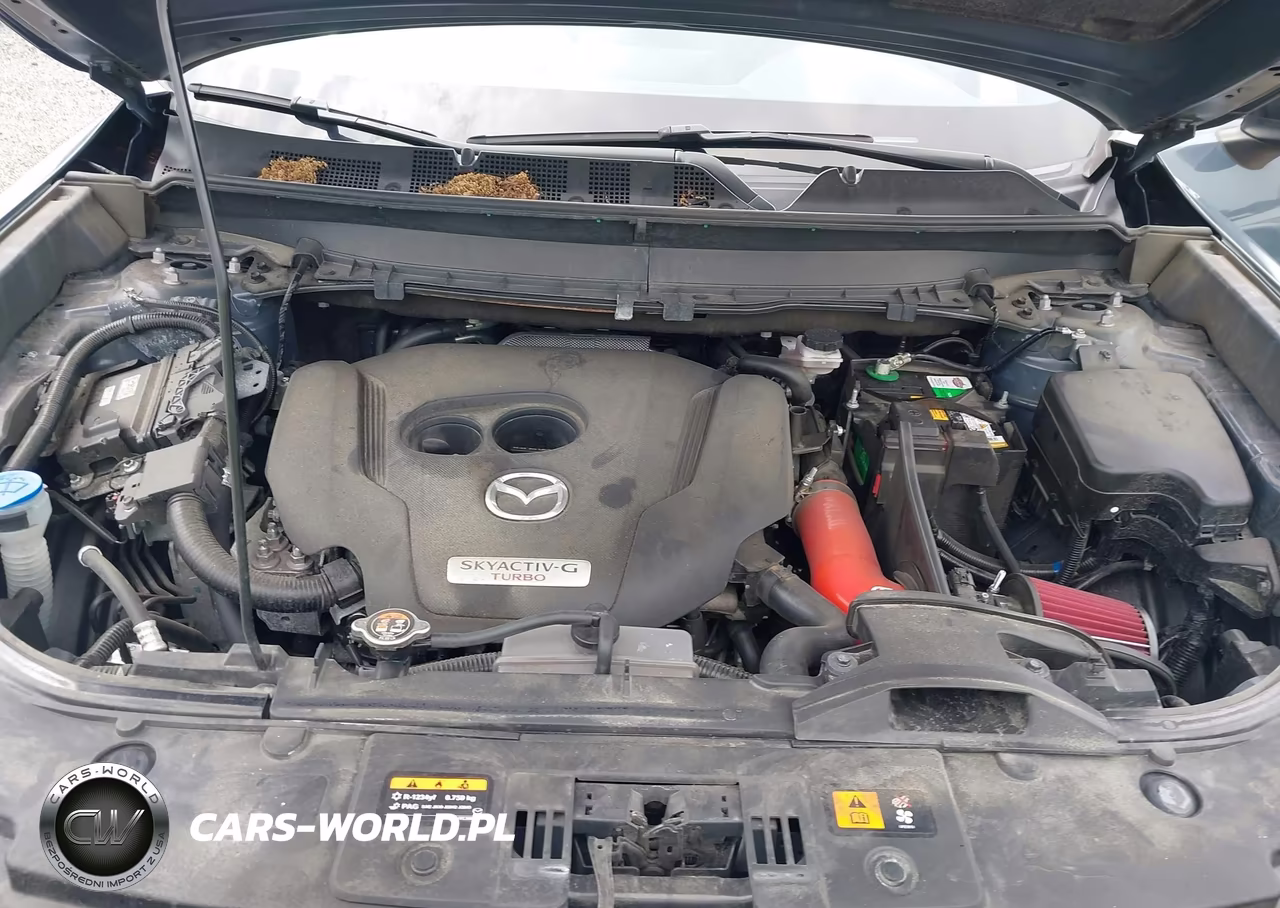 2023 Mazda Cx-9 Carbon Edition VIN:JM3TCBDY4P0630797 - 10
