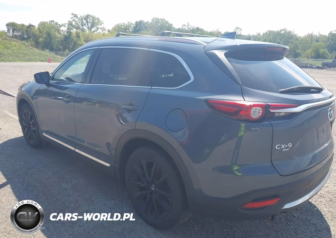 2023 Mazda Cx-9 Carbon Edition VIN:JM3TCBDY4P0630797 - 3