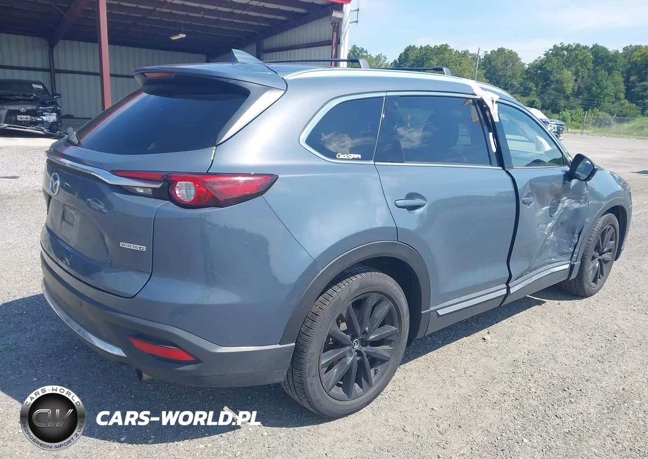 2023 Mazda Cx-9 Carbon Edition VIN:JM3TCBDY4P0630797 - 4