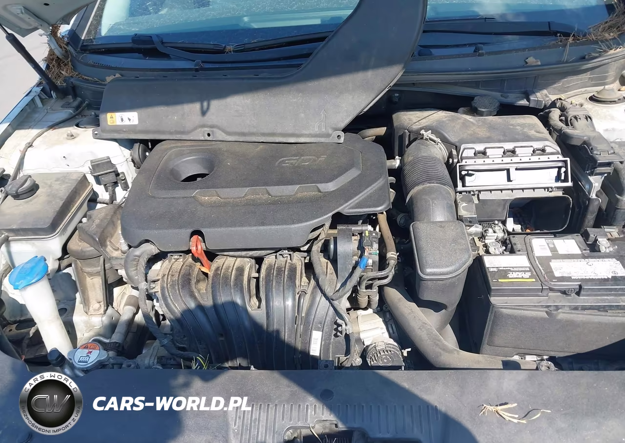 2017 Hyundai Sonata Se VIN:5NPE24AF1HH552552 - 10