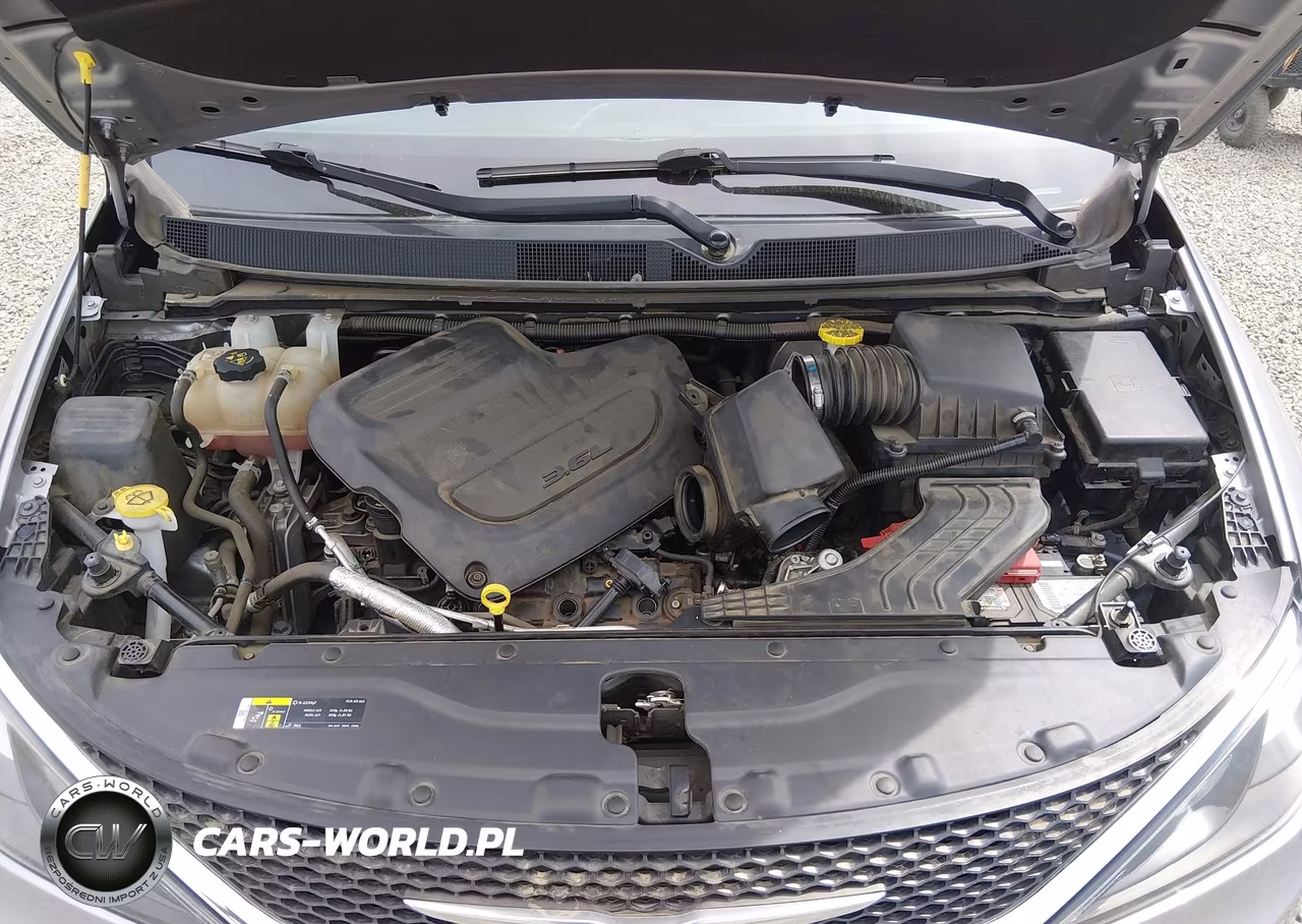 2019 Chrysler Pacifica Lx VIN:2C4RC1CG3KR702058 - 10