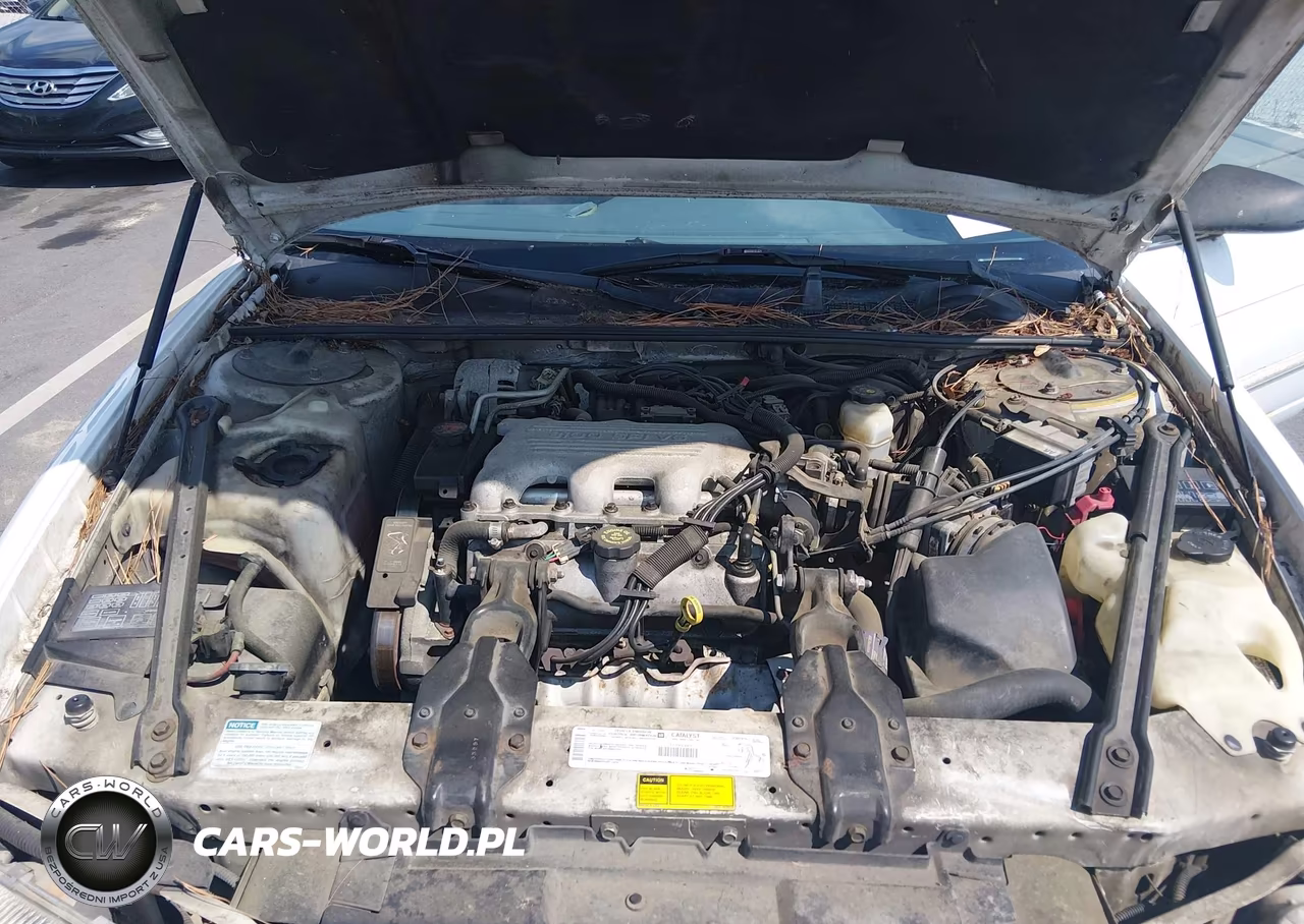 1998 Chevrolet Lumina VIN:2G1WL52M3W9254209 - 10