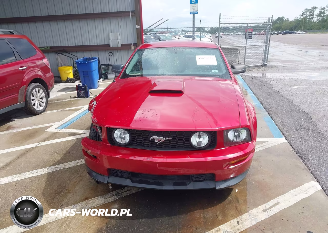 2009 Ford Mustang Gt Premium VIN:1ZVHT82H995106262 - 12