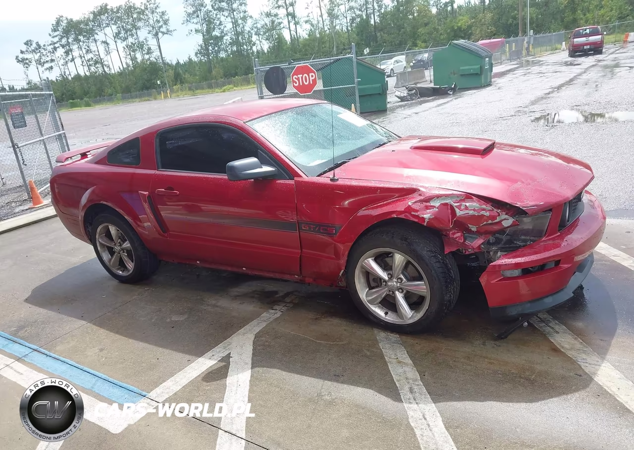 2009 Ford Mustang Gt Premium VIN:1ZVHT82H995106262 - 13