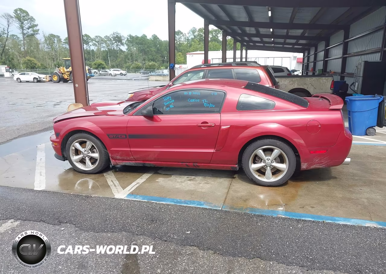 2009 Ford Mustang Gt Premium VIN:1ZVHT82H995106262 - 14