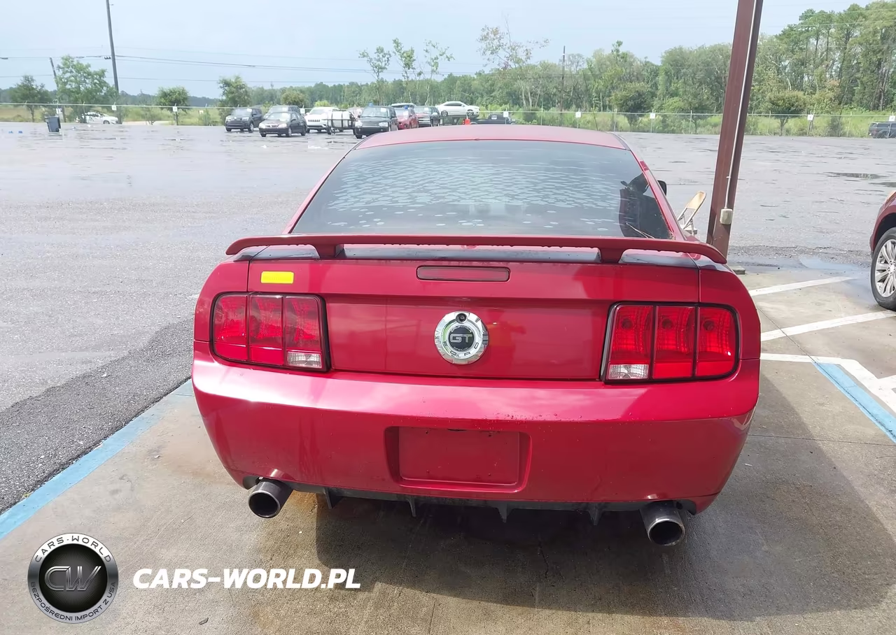 2009 Ford Mustang Gt Premium VIN:1ZVHT82H995106262 - 16